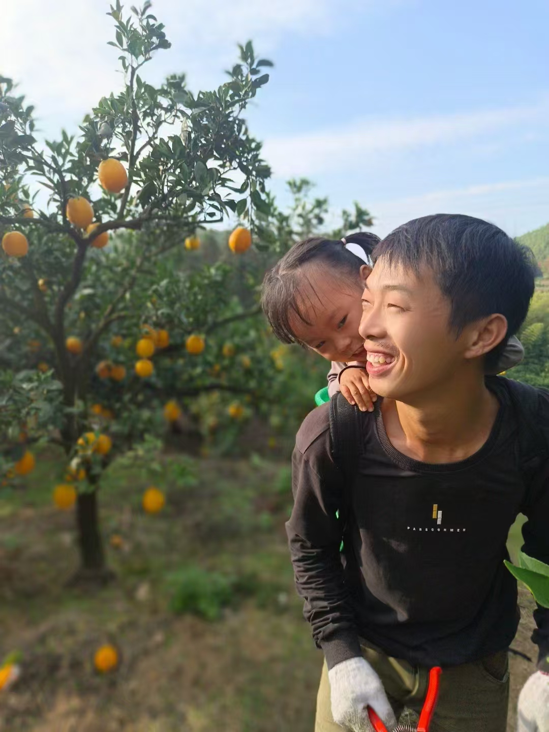 赣南脐橙正宗江西赣州新鲜橙子产地直发官方旗舰店