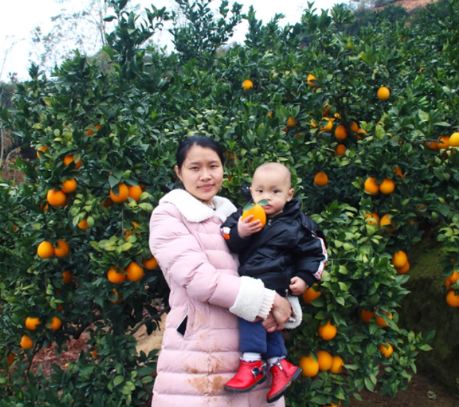 正宗赣南脐橙10斤橙子信丰产地直发新鲜现摘时令水果皮薄多汁甜橙